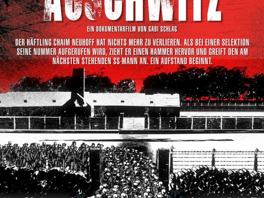 a poster showing athe open doors of auscwitz in graphich in red background